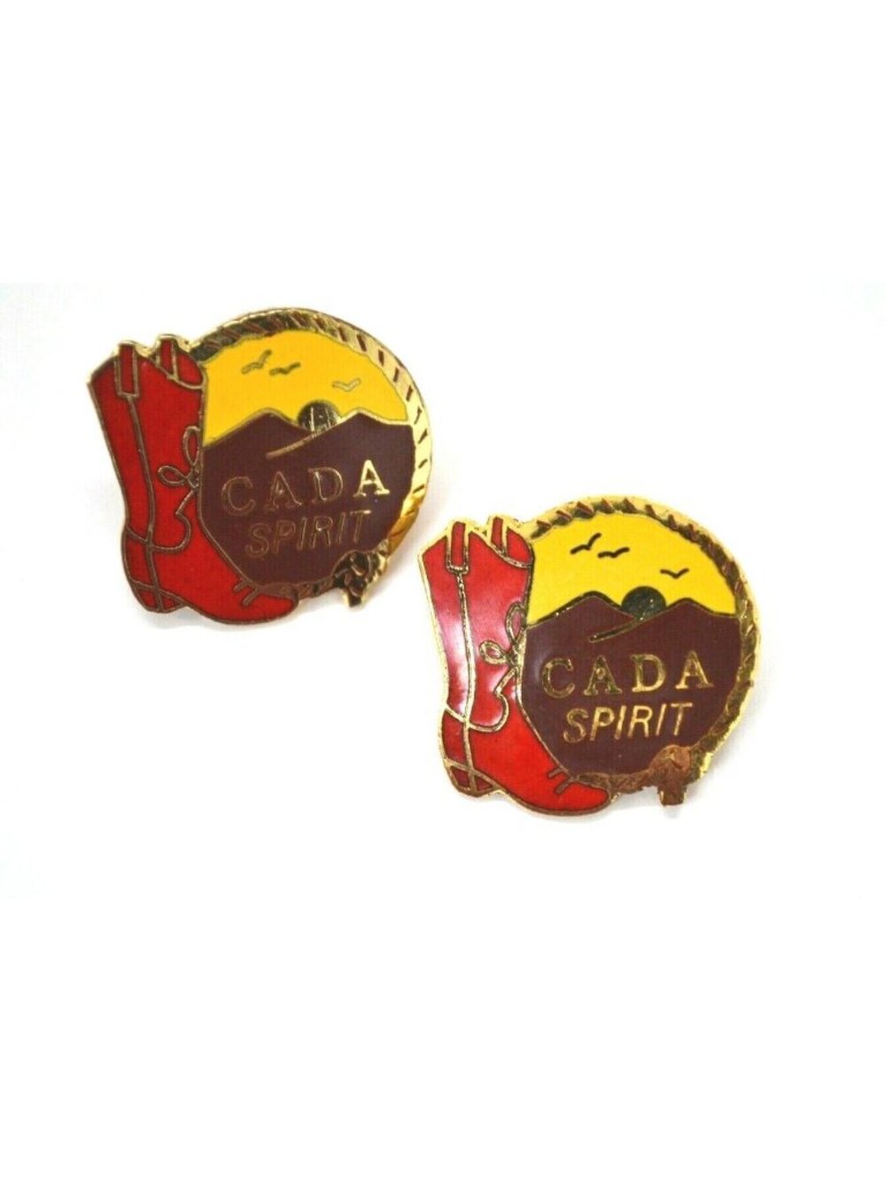 California Association Pin Badge Directors of Activities Teach Leadership Lapel